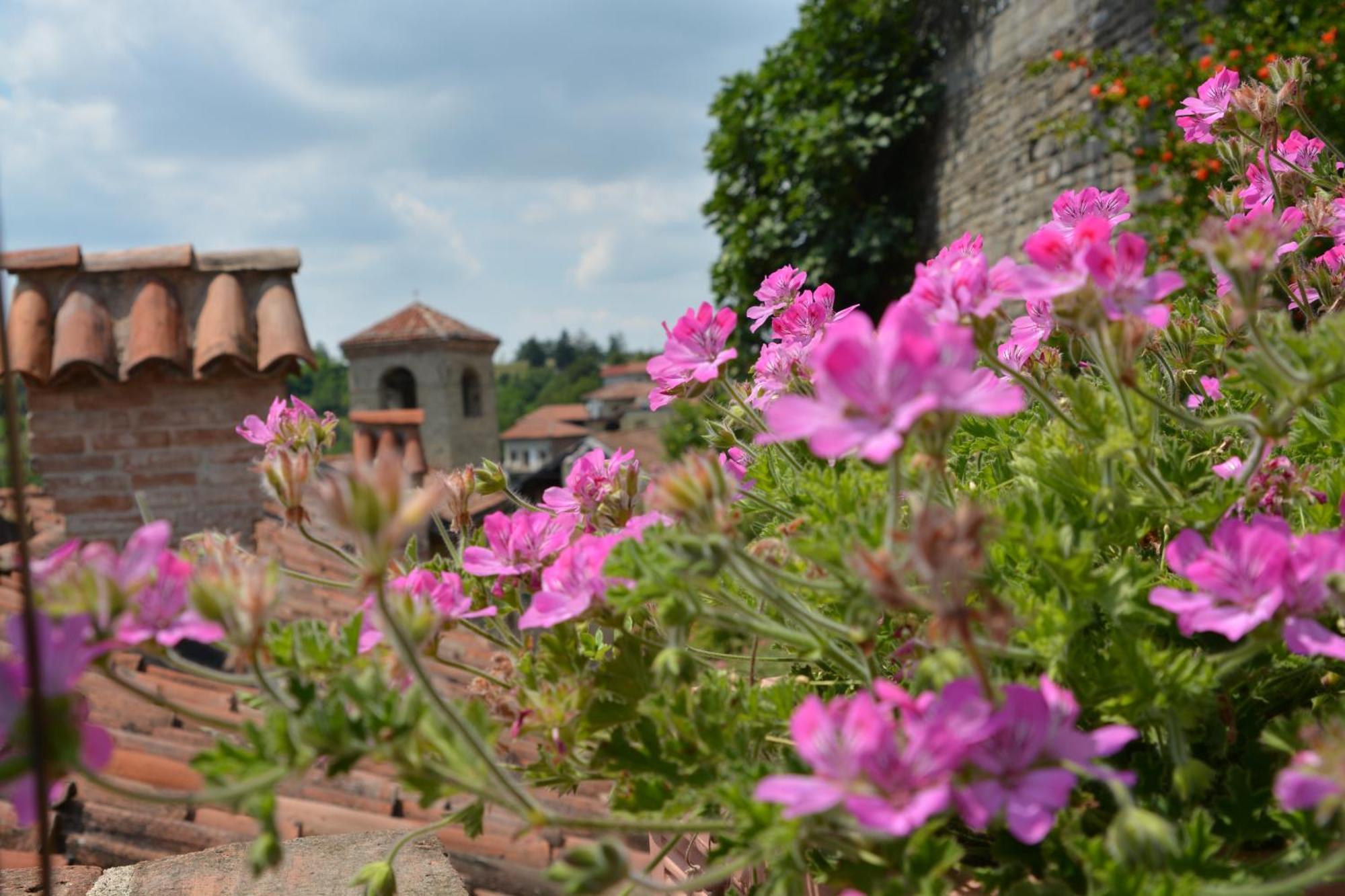 Dimora Storico Romantica Il Sole E La Luna Cerretto Langhe Exterior foto